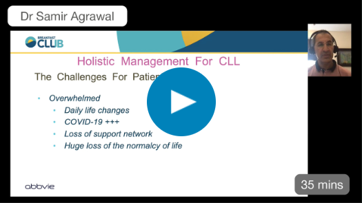 hollistic management video desktop